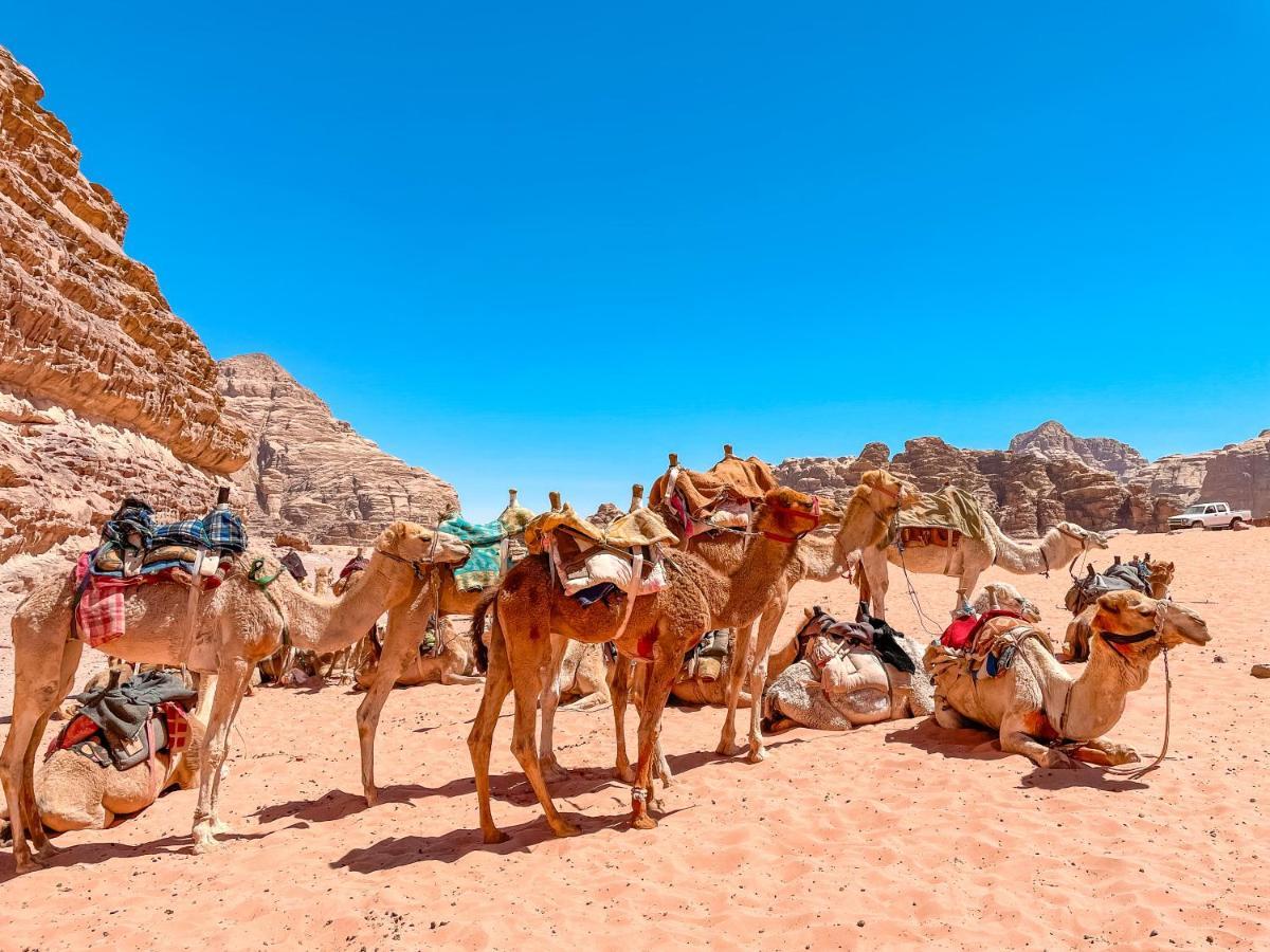 Rum Jordan Camp And Tours Wadi Rum Esterno foto